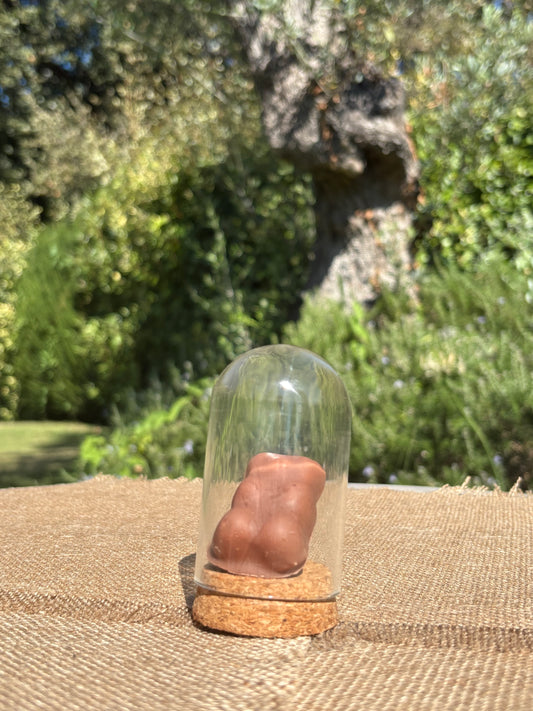 Grands oursons enrobage chocolat au lait